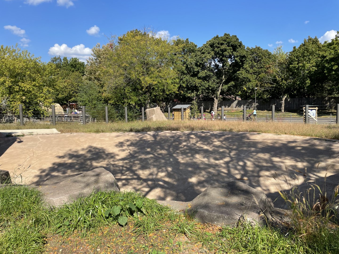 10/4/2025 - Future Rhino/Zebra Habitat