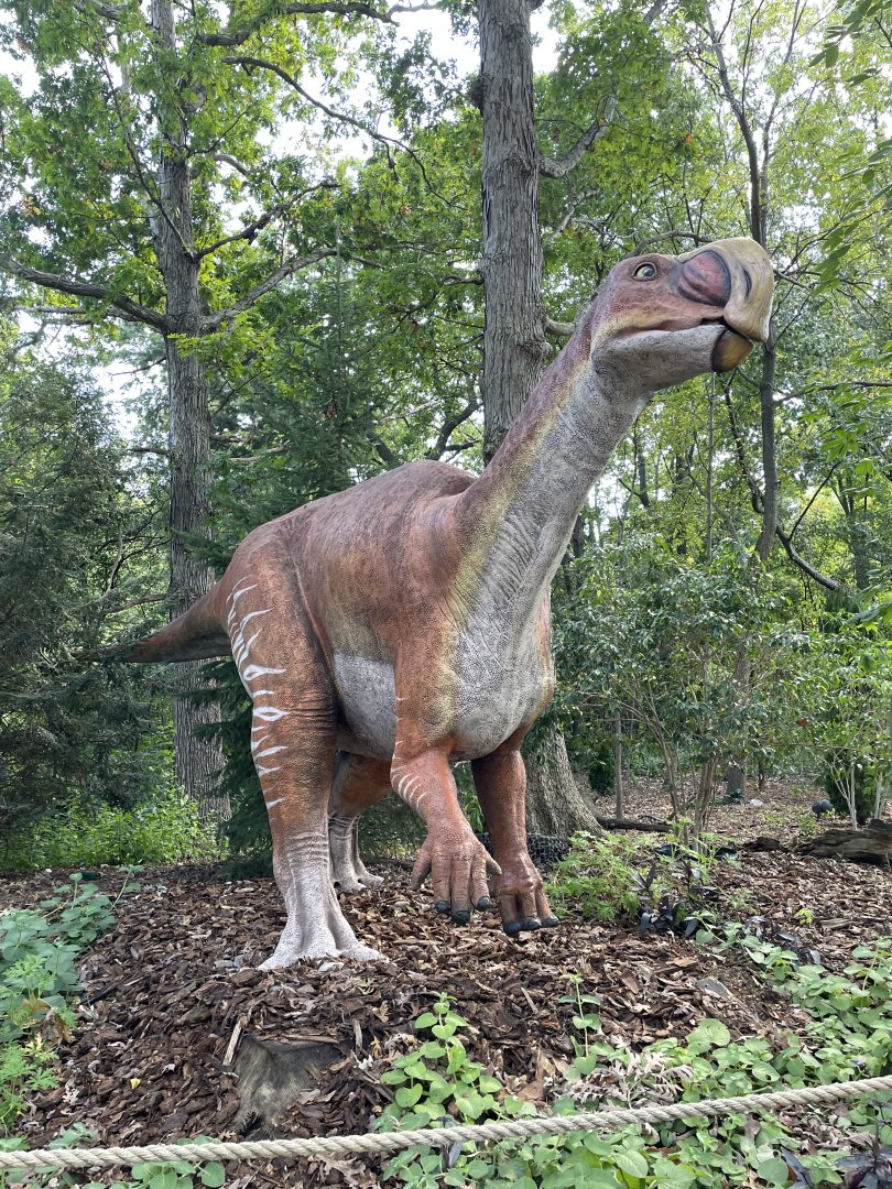 10/4/2025 - Muttaburrasaurus