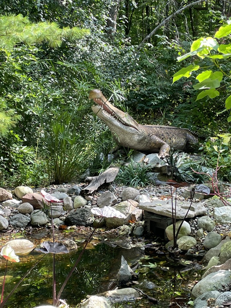 10/4/2025 - Sarcosuchus