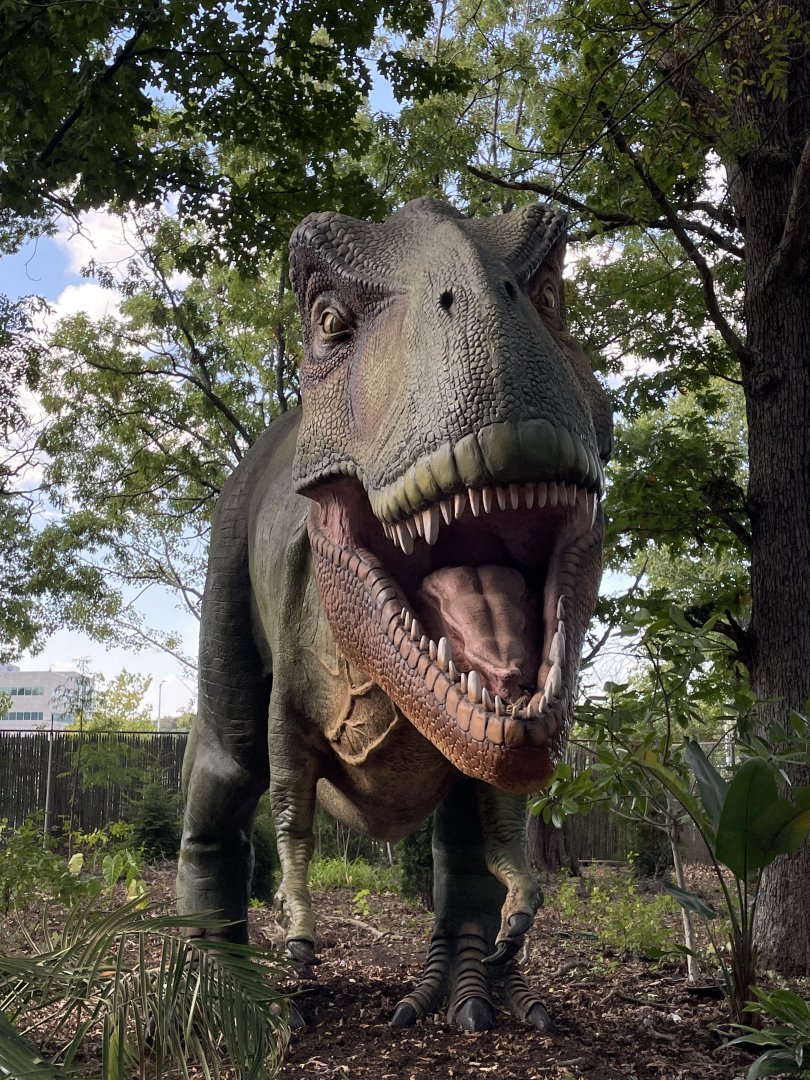 10/4/2025 - The Tyrant King