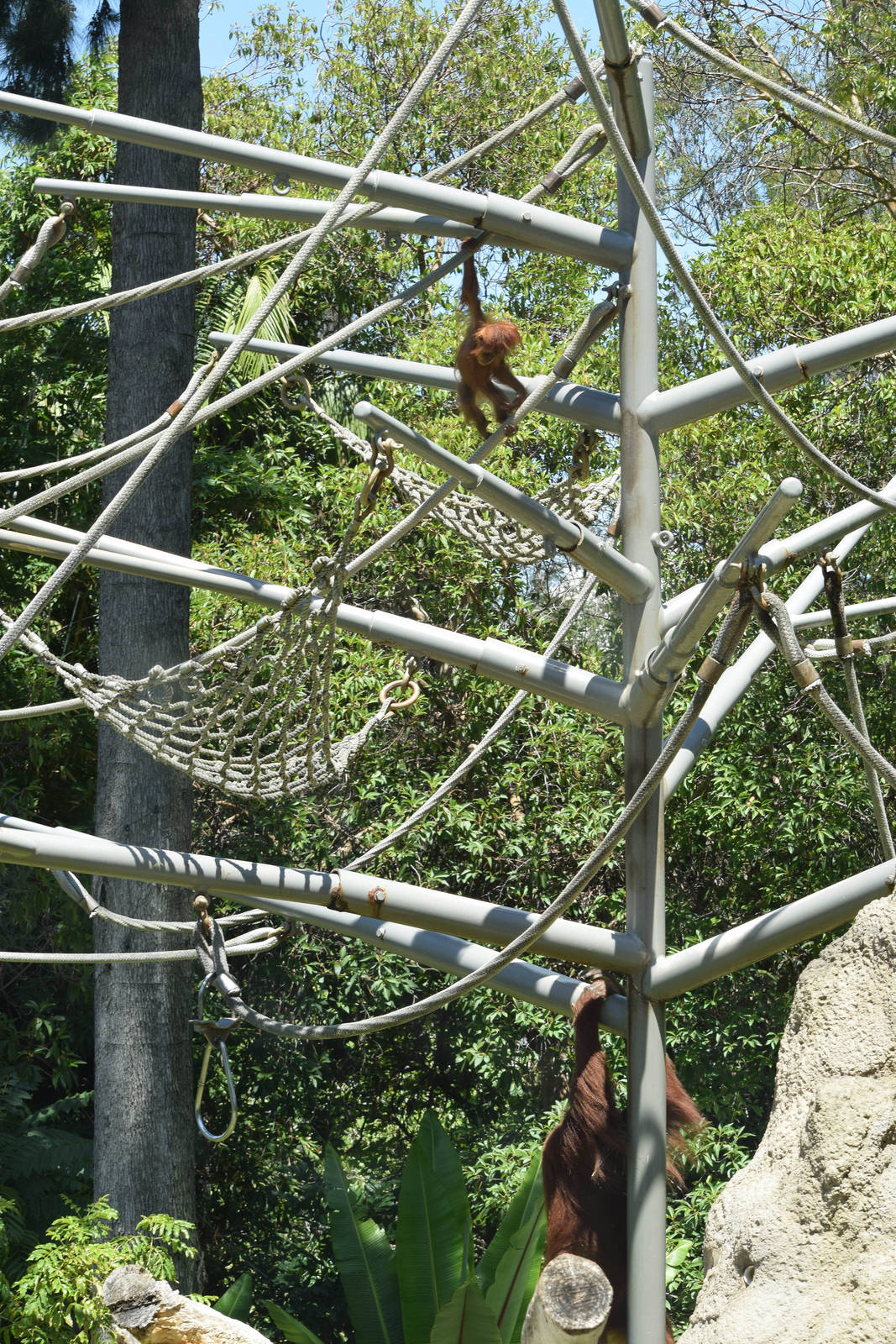 10 month old Aisha is getting more confident!