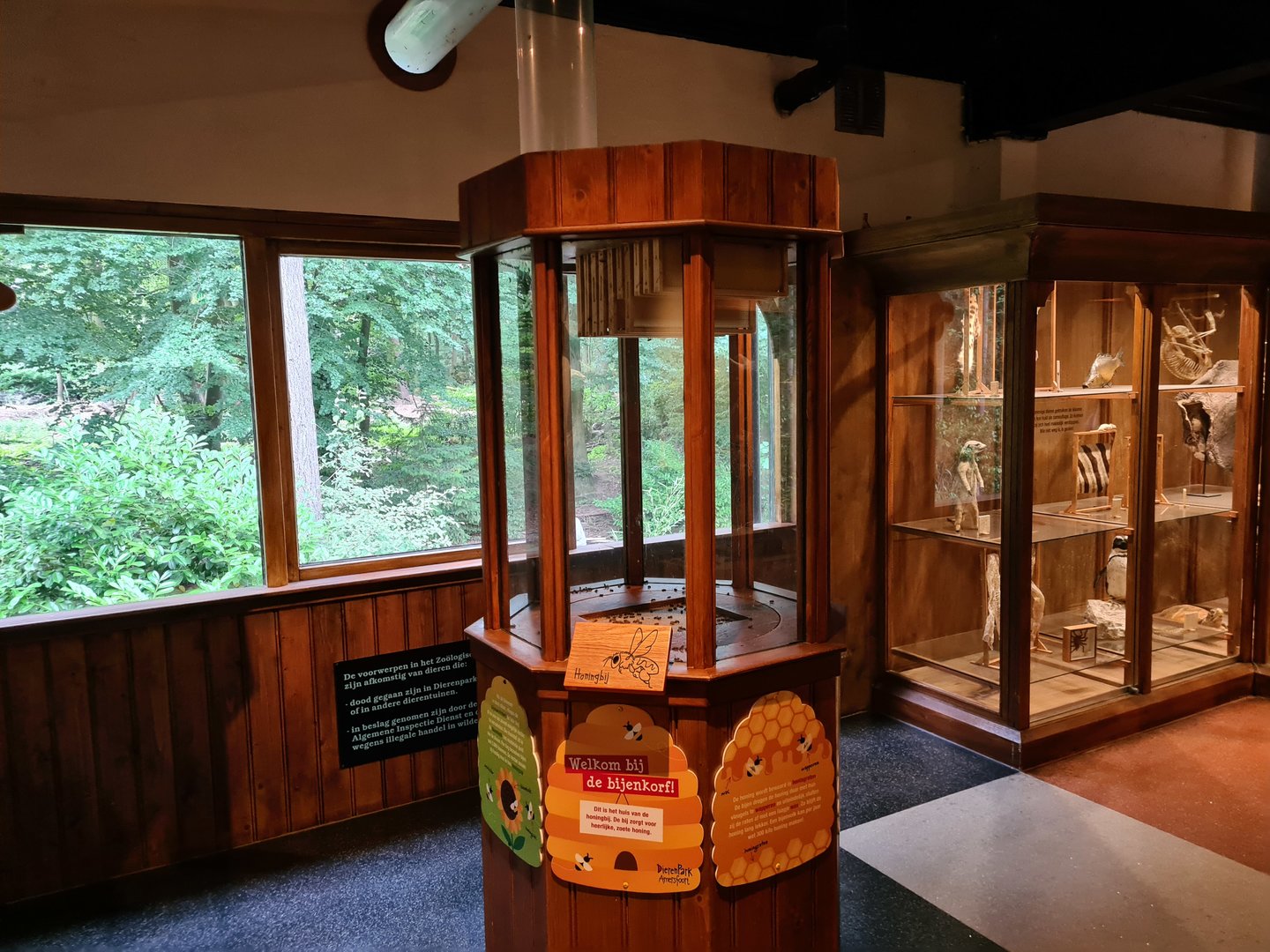 100.00 animal house - Wild honey bee enclosure