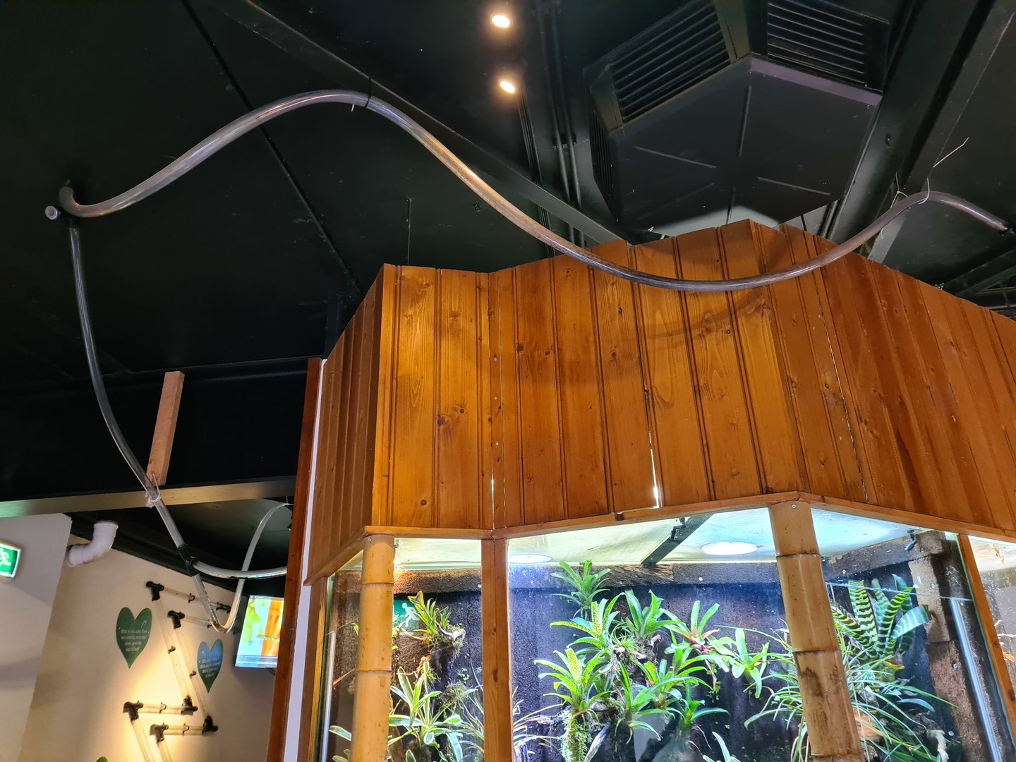 100.000 animal house - Ant tunnels