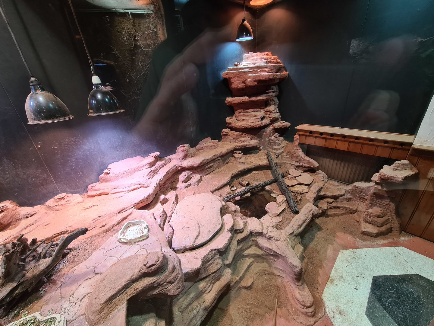 100.000 animal house - Desert enclosure