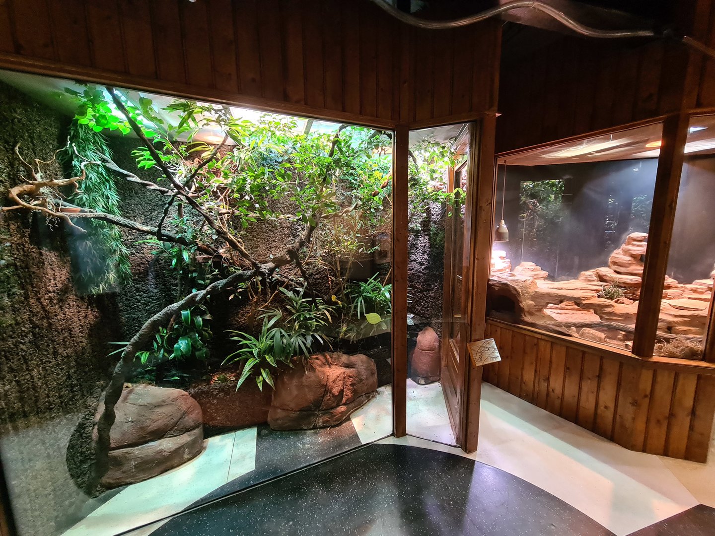 100.000 animal house - Fiji Banded iguana and Day geckos (left) and Gila monster (right)