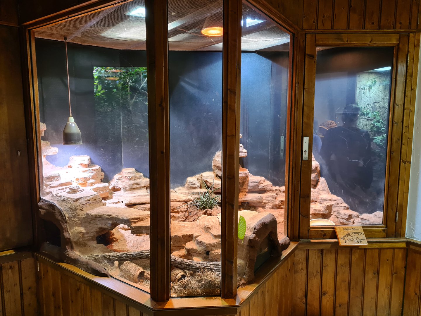 100.000 animal house - Gila monster enclosure