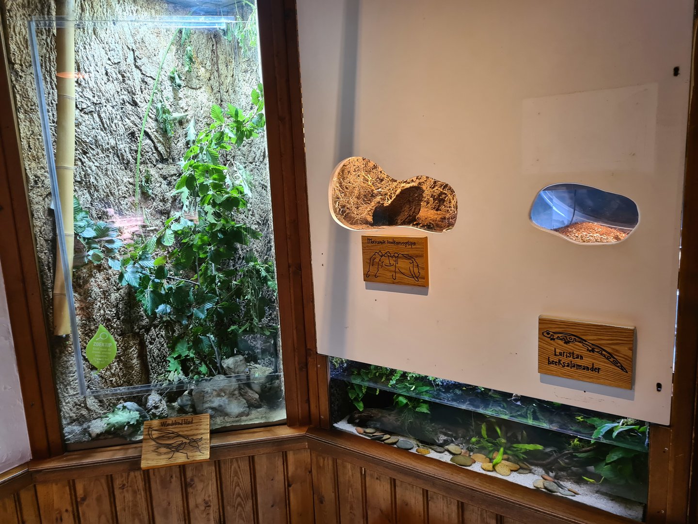 100.000 animal house - Leaf insects (left), Tarantulas (top left), Newts (bottom) and Leafcutter ants (top right)