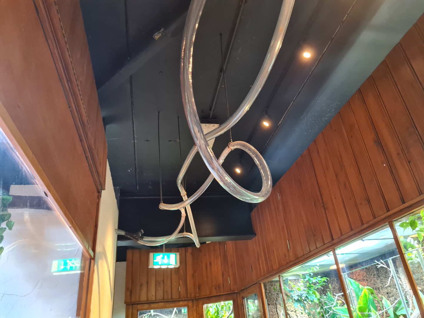 100.000 animal house - More ant tunnels