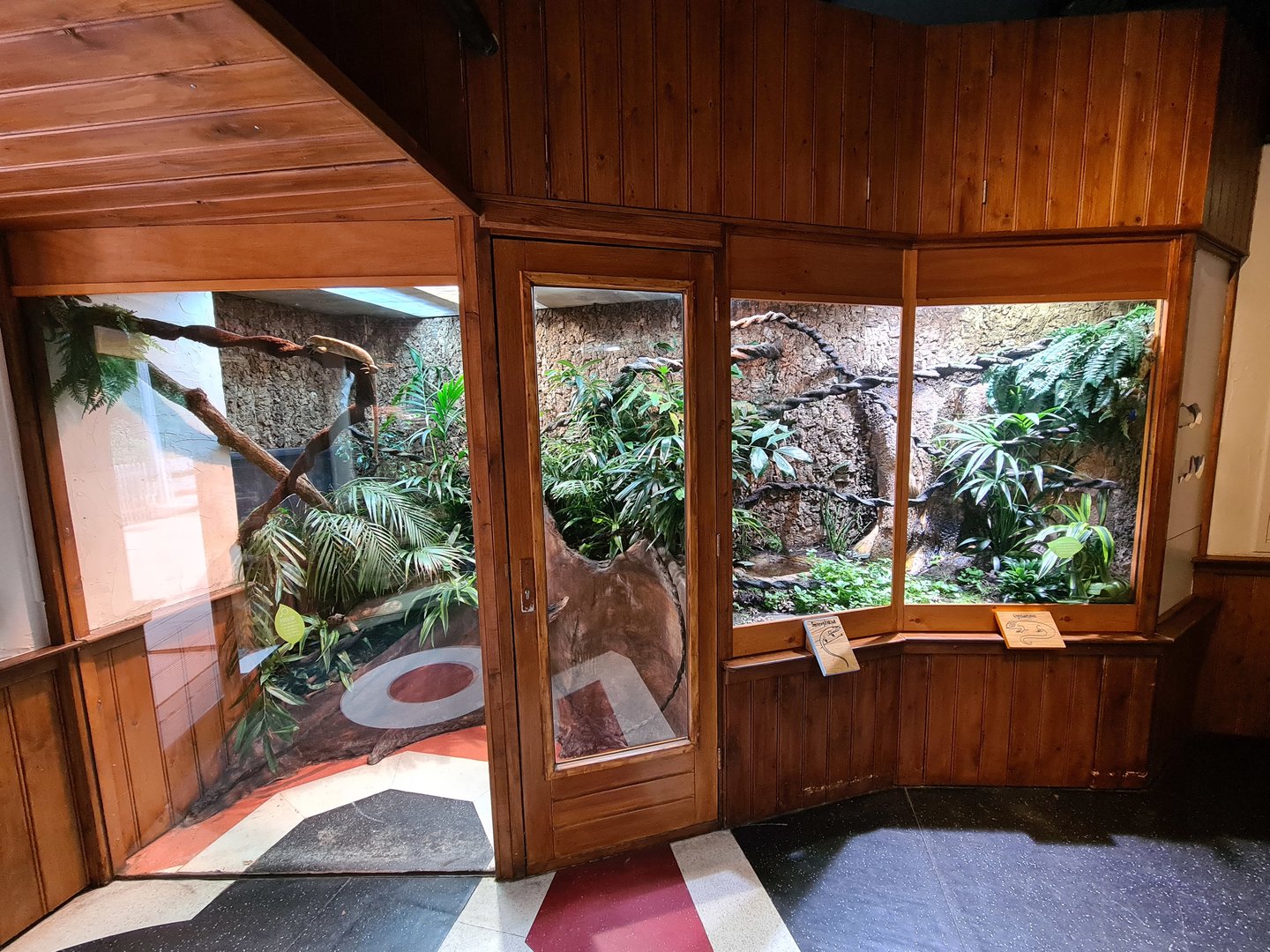 100.000 animal house - Skink enclosure