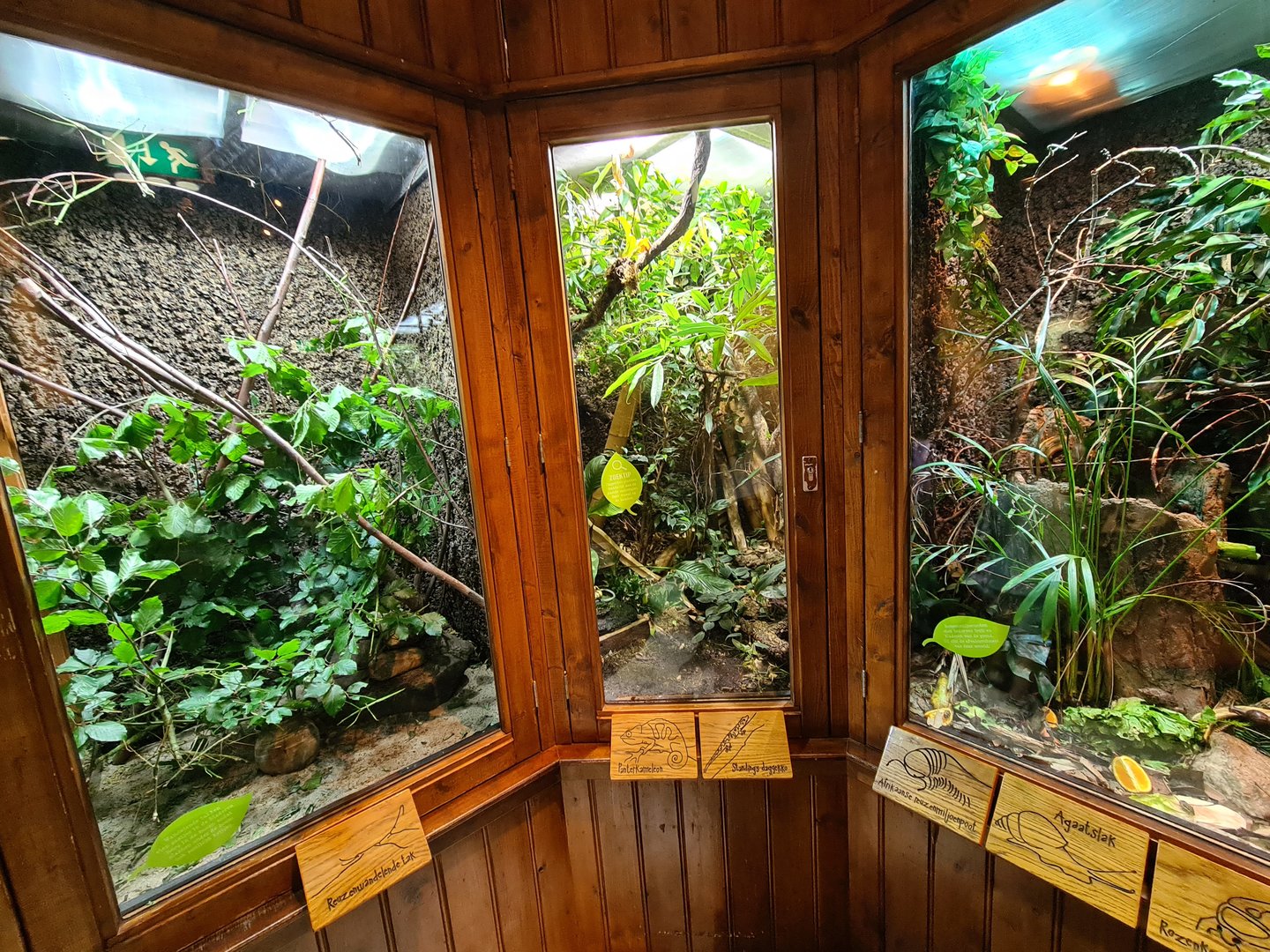 100.000 animal house - Stick insects (left), Chameleons (Middle) and mixed inverts (right)