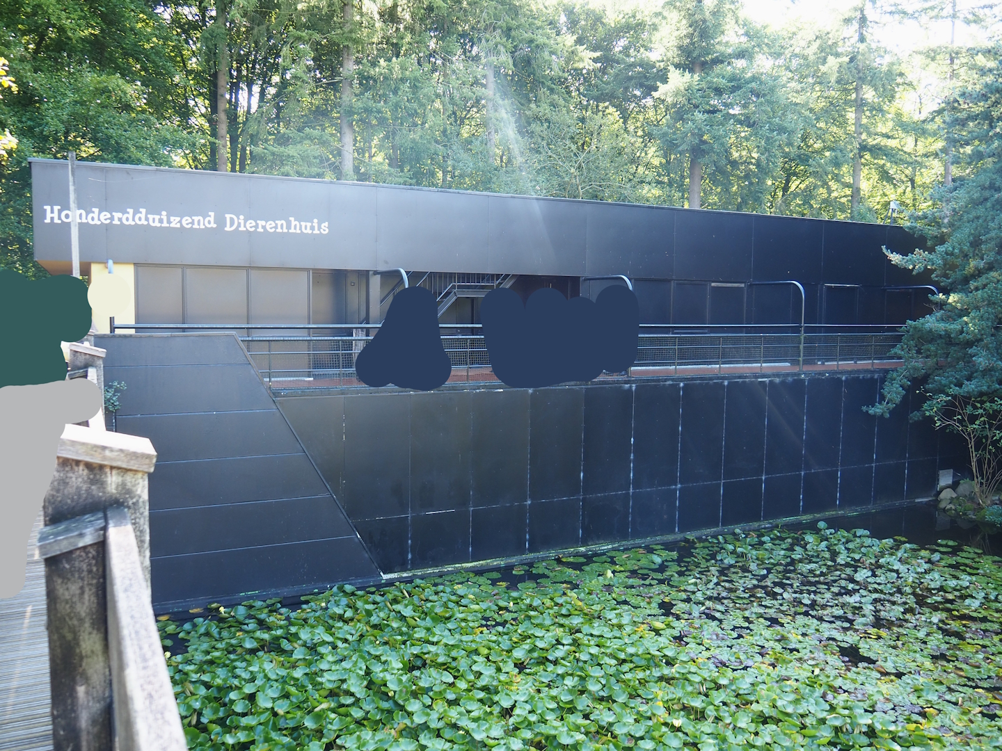 100.000 Animals House (Reptiles, Amphibian, Leafcutter ants and Museum space), 2023-09-24