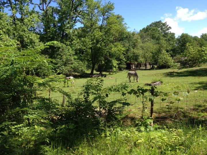 10013654_10203998354740806_4743952285103482974_n