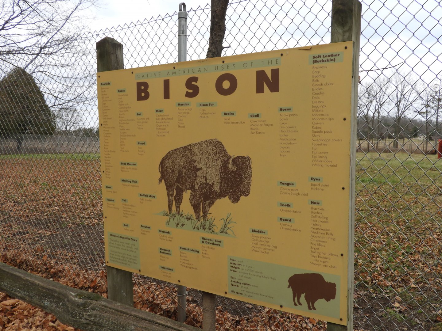 101 Uses for Bison