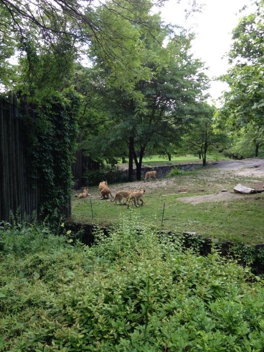 10325168_10203998364421048_2360435562661640941_n