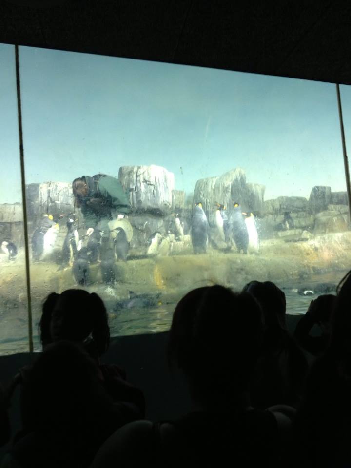 10325730_10203998349540676_639887663119793872_n