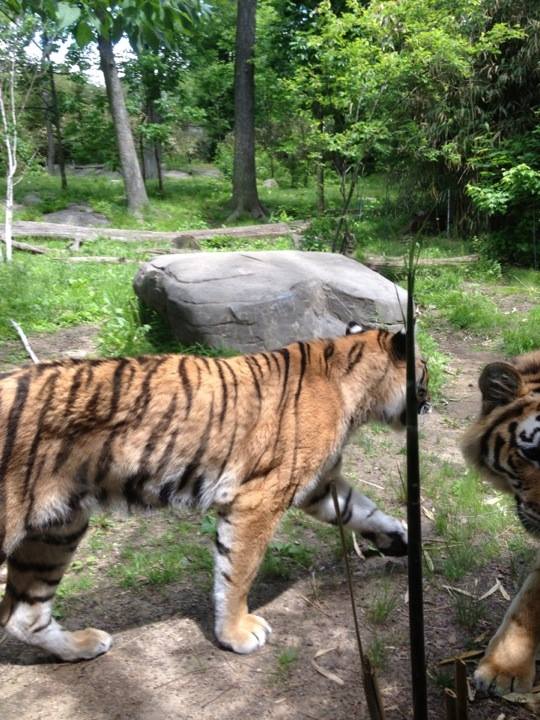 10338245_10203998369941186_8086867096563900197_n