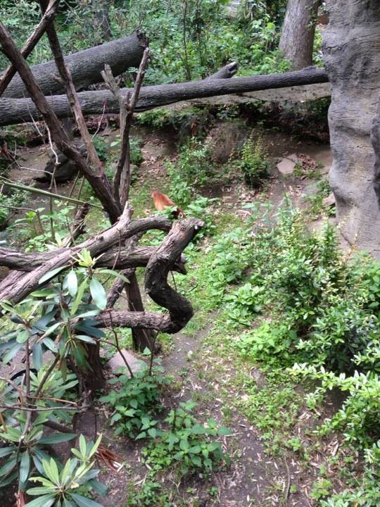 10349089_10203998368981162_890025254579968075_n