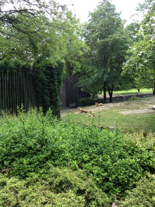 10351605_10203998363261019_9035938592397015744_n