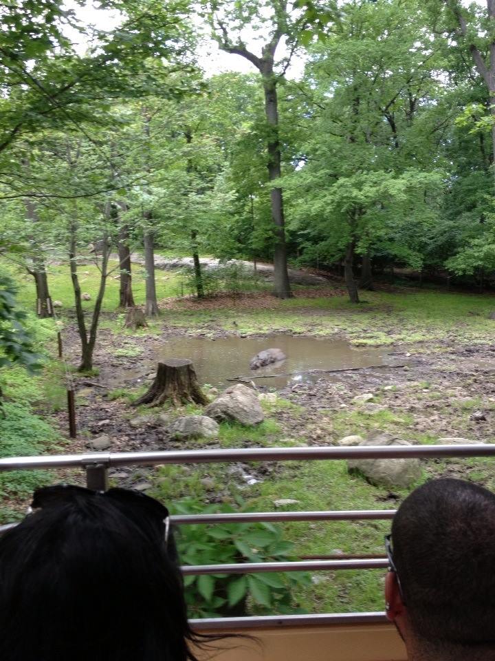 10363382_10203998367421123_1710510047218464093_n