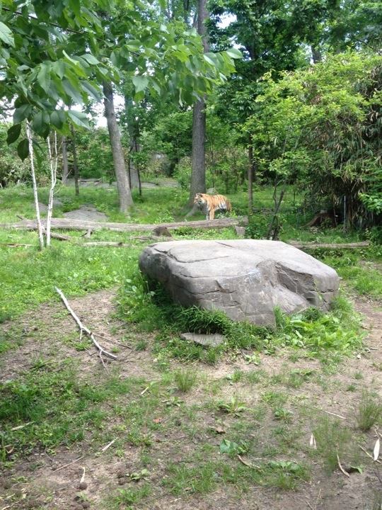 10371952_10203998372381247_6211176451957532116_n