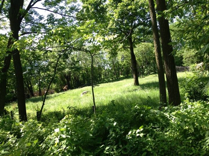 10382629_10203998357020863_2325148522982482937_n