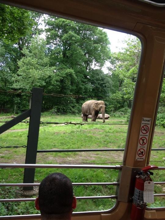 10394589_10203998366741106_5872667452950264073_n