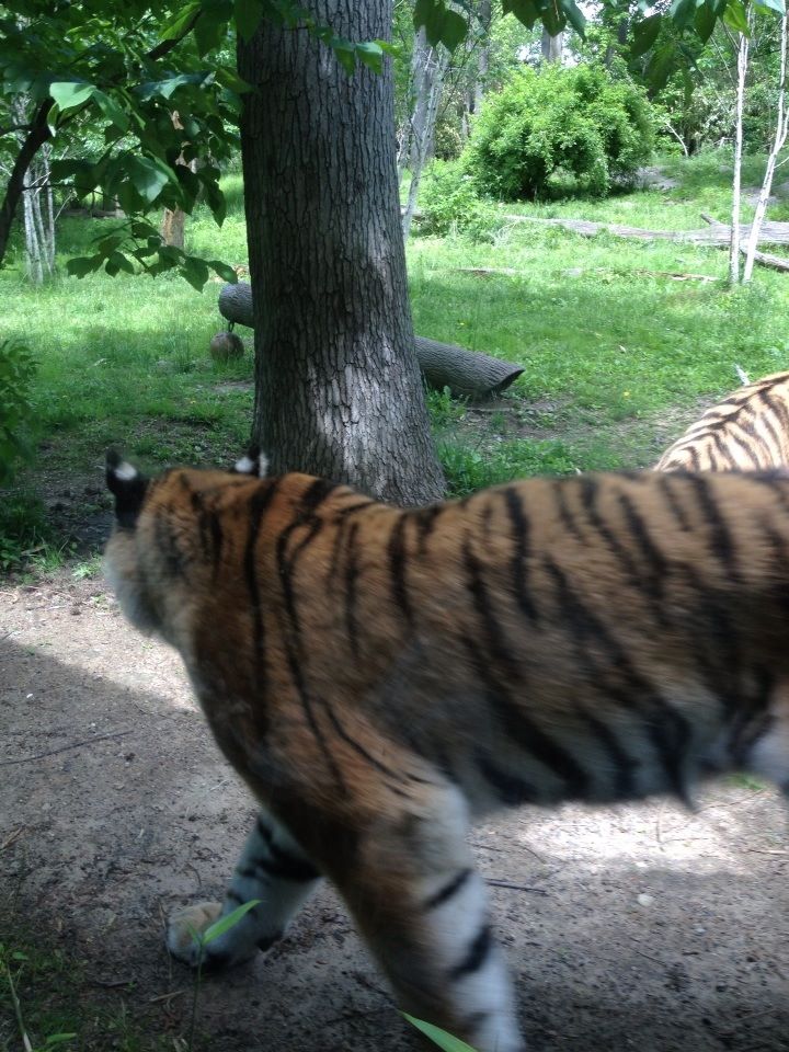 10406964_10203998371141216_7198102420937630814_n