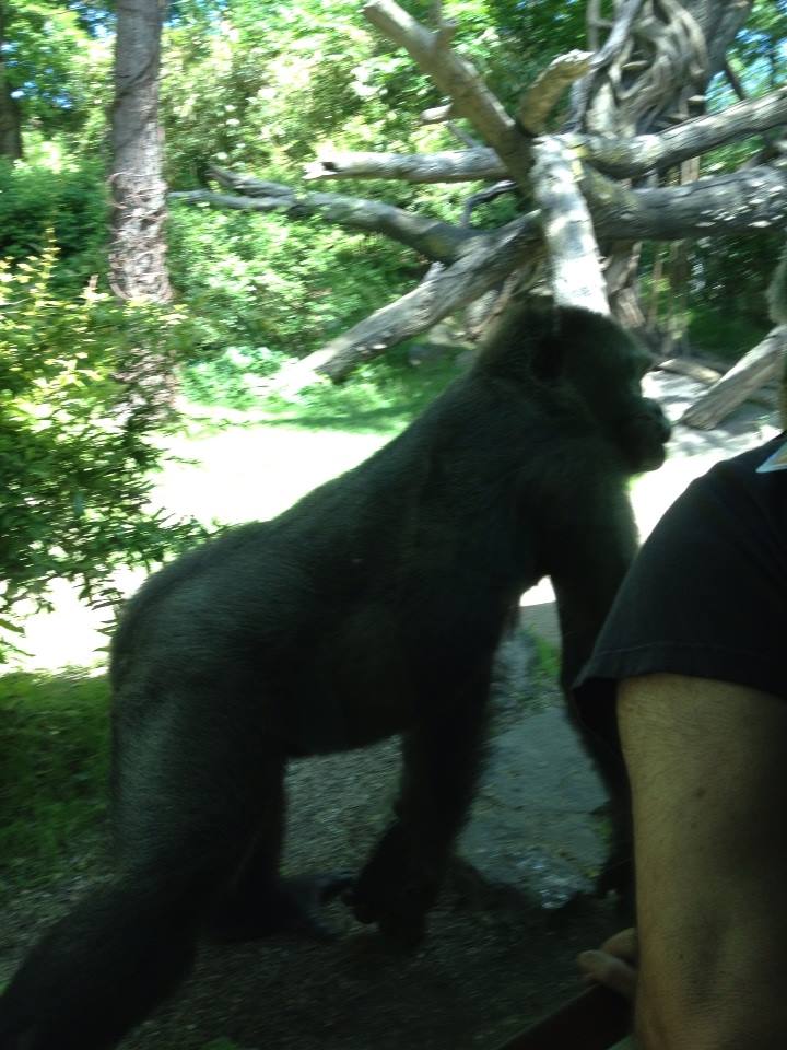 10411270_10203998359820933_3905683112900043474_n