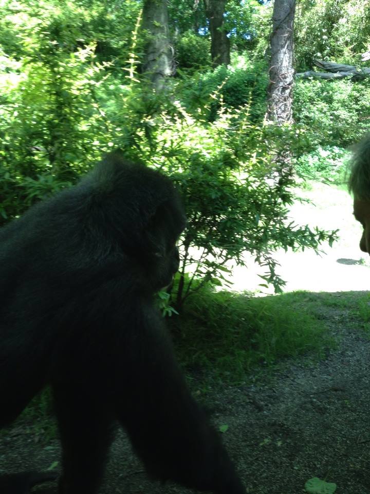 10438624_10203998358380897_1035631267226247607_n