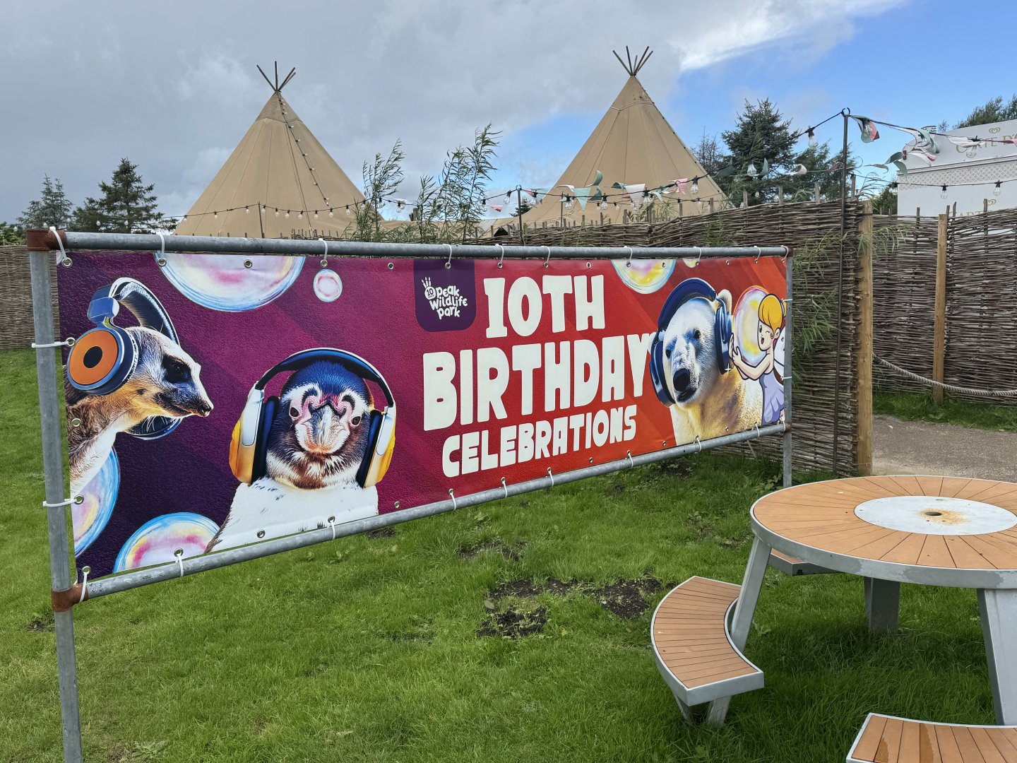 10th Birthday Banner