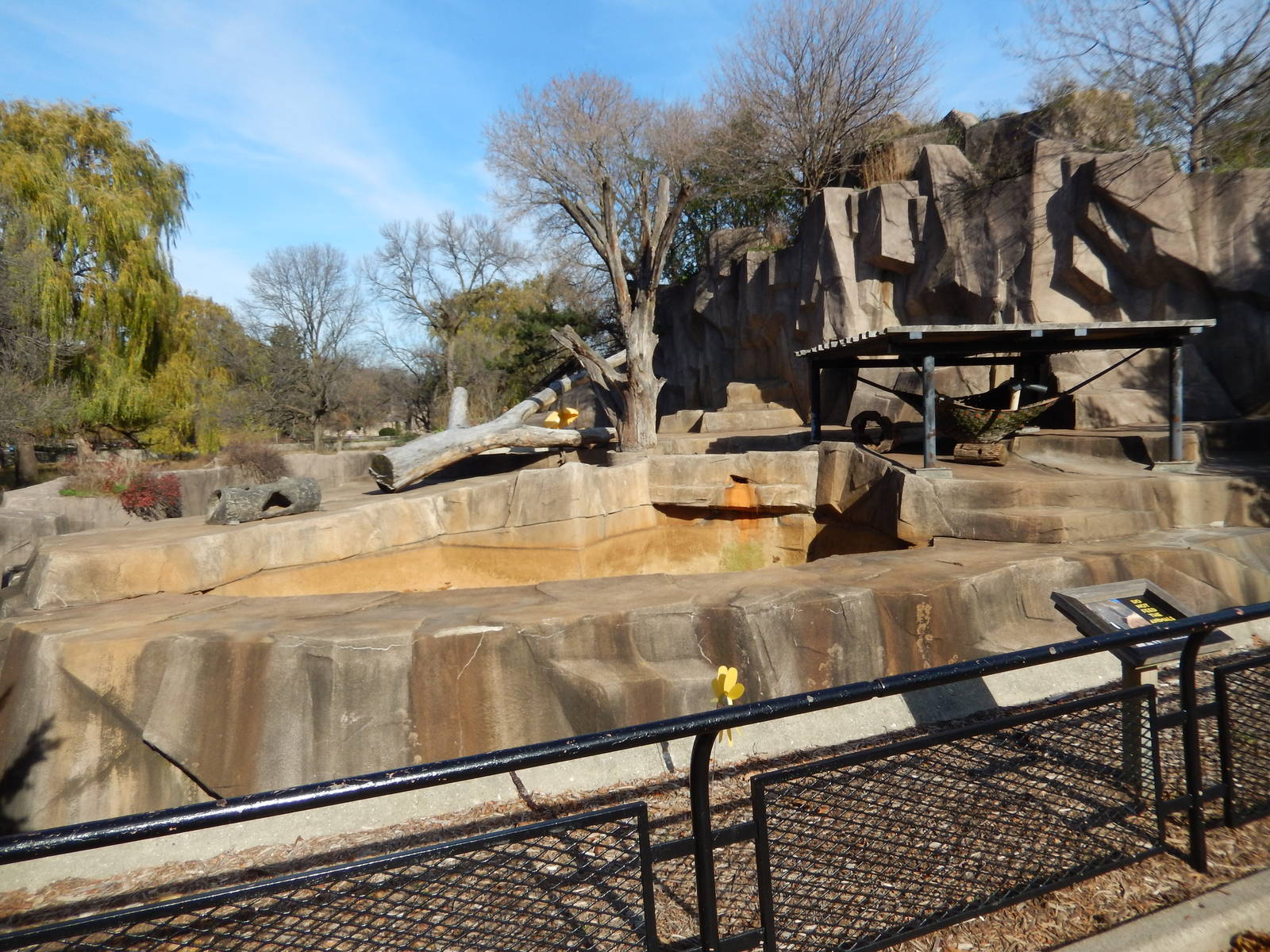 11/14/2015 - Brown Bear Exhibit