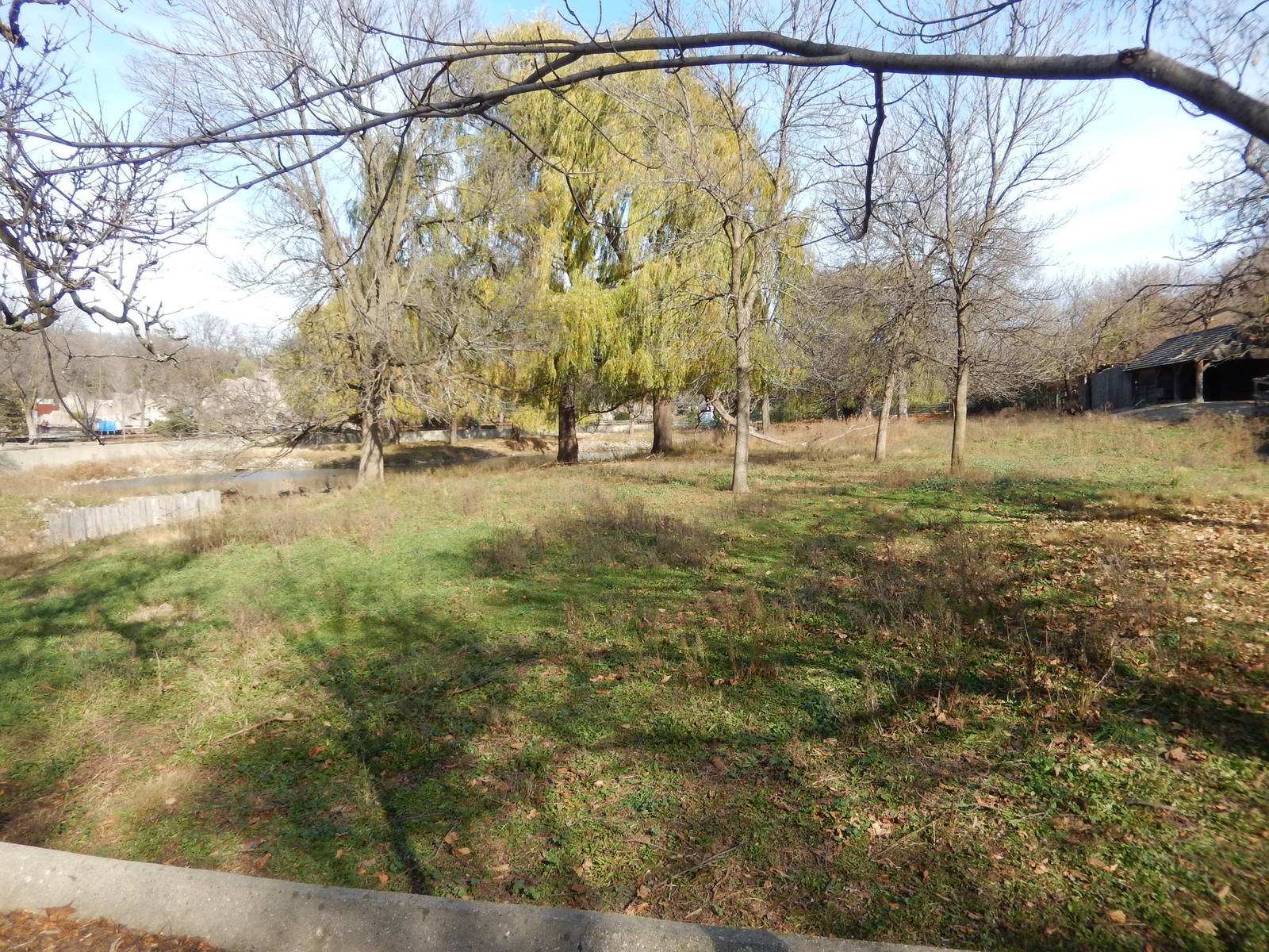 11/14/2015 - Moose Habitat