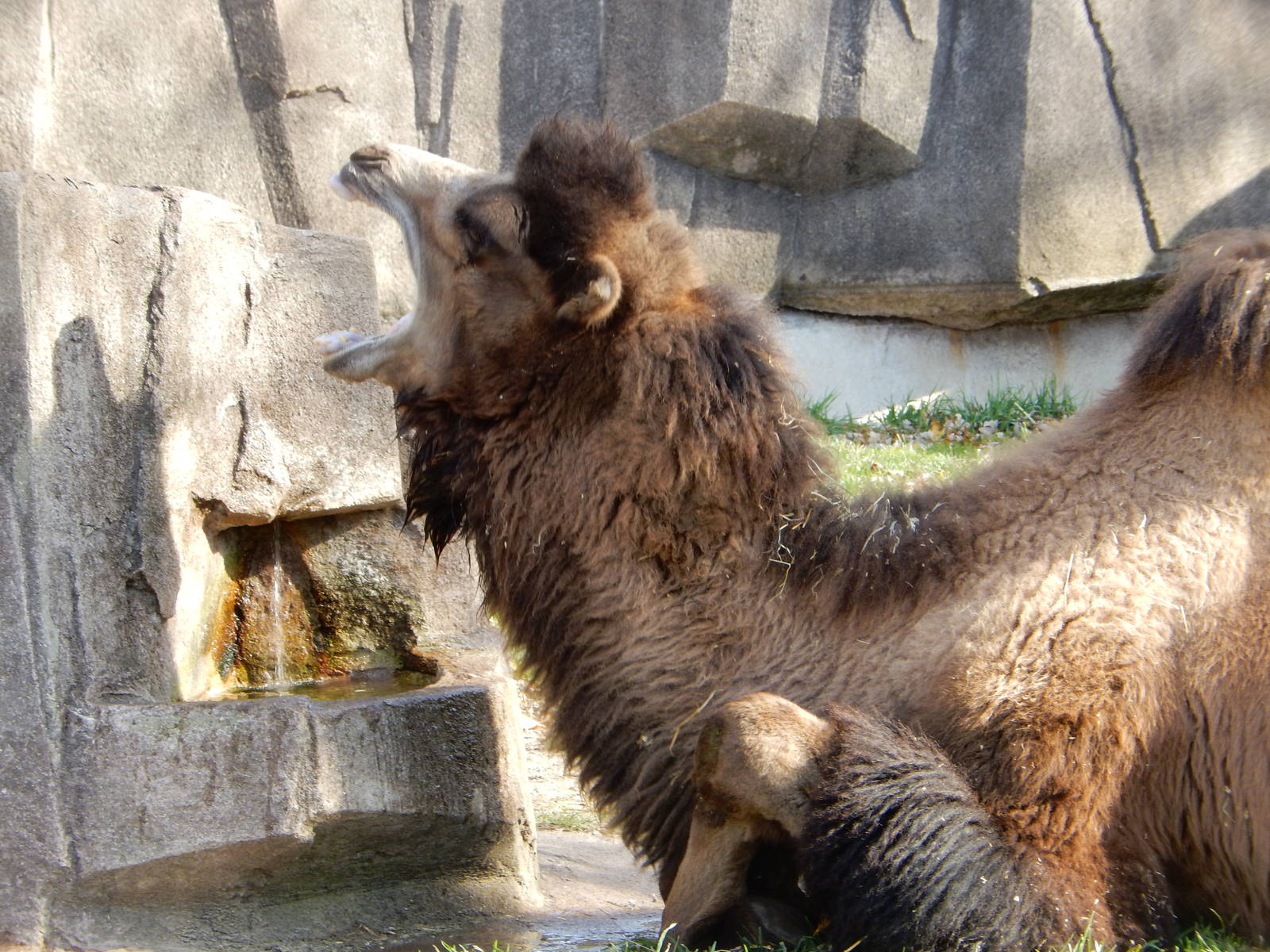 11/14/2015 - Open Wide!