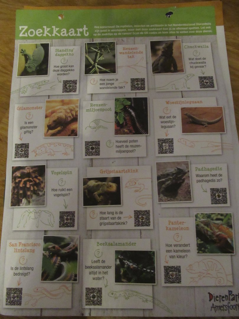 11 2023- Search map "Honderdduizend Dierenhuis" (2)