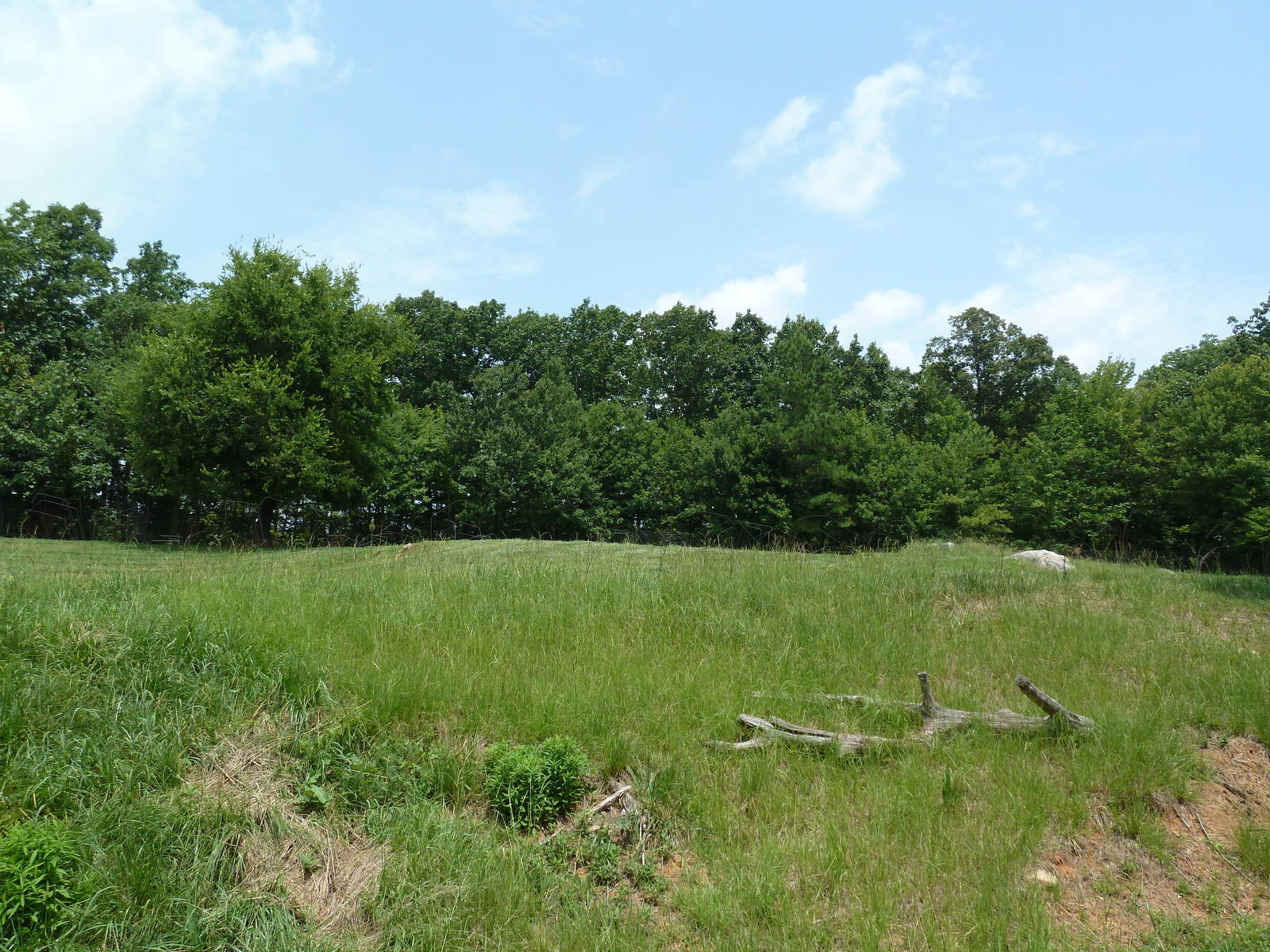 11-Acre Bison/Elk Exhibit