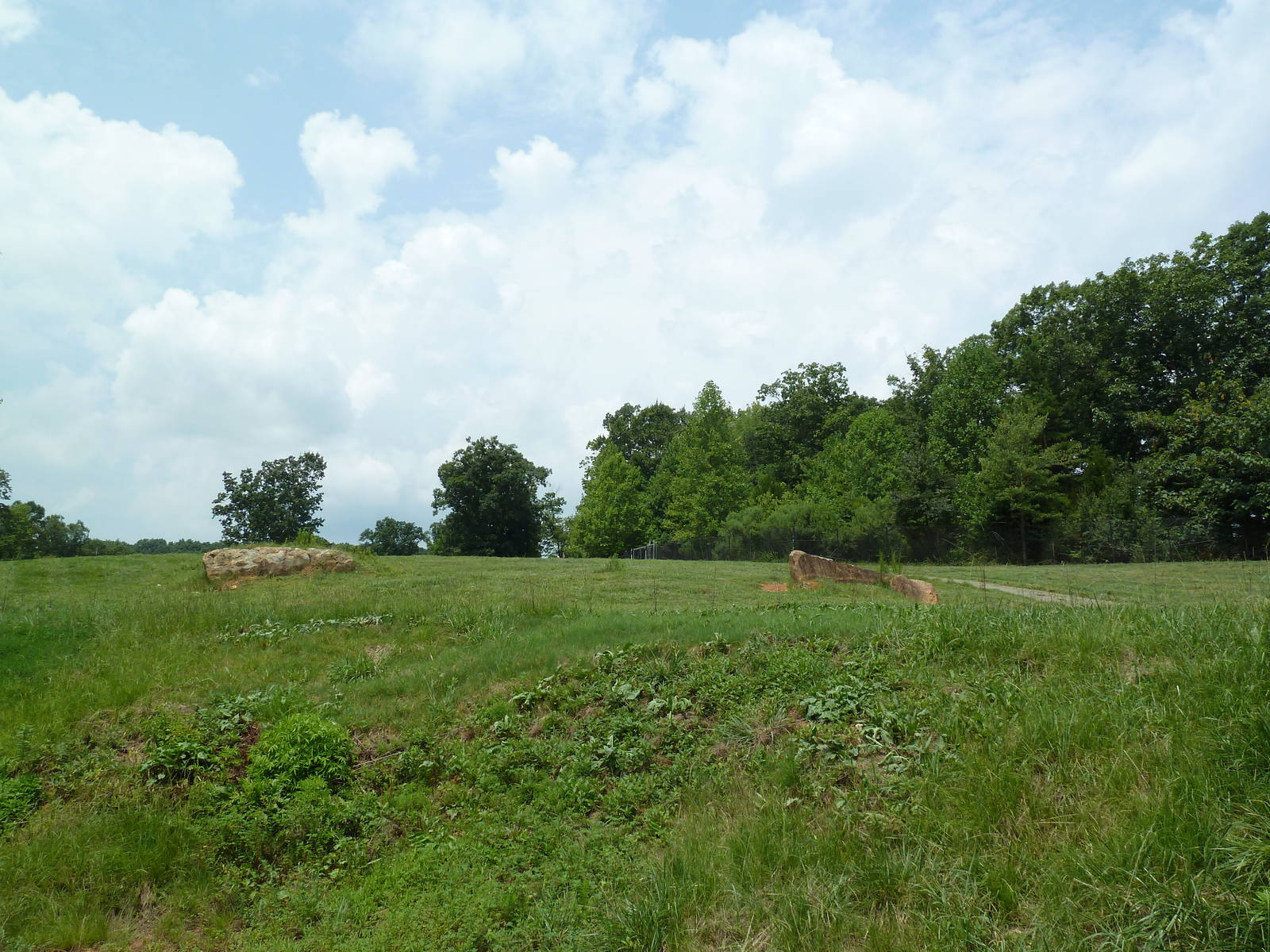 11-Acre Bison/Elk Exhibit