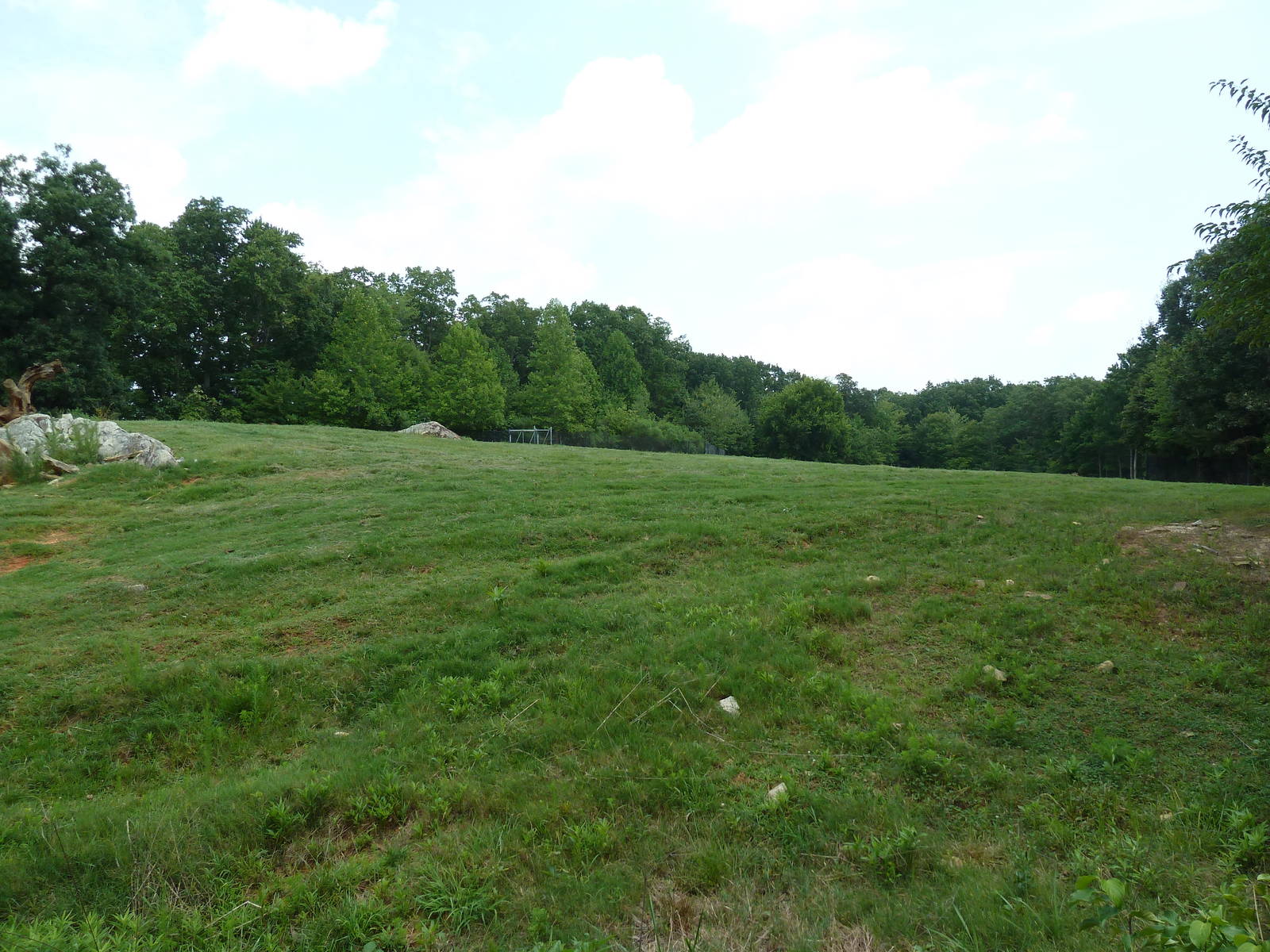 11-Acre Bison/Elk Exhibit