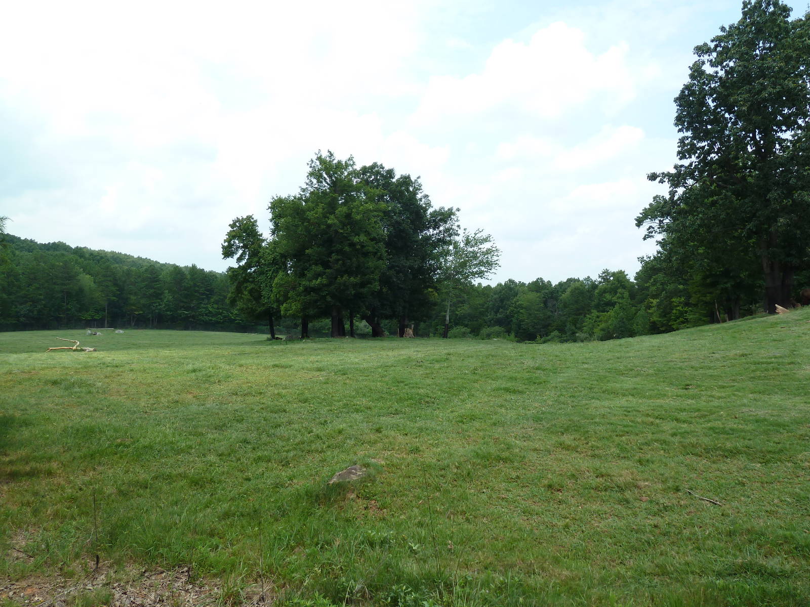 11-Acre Bison/Elk Exhibit