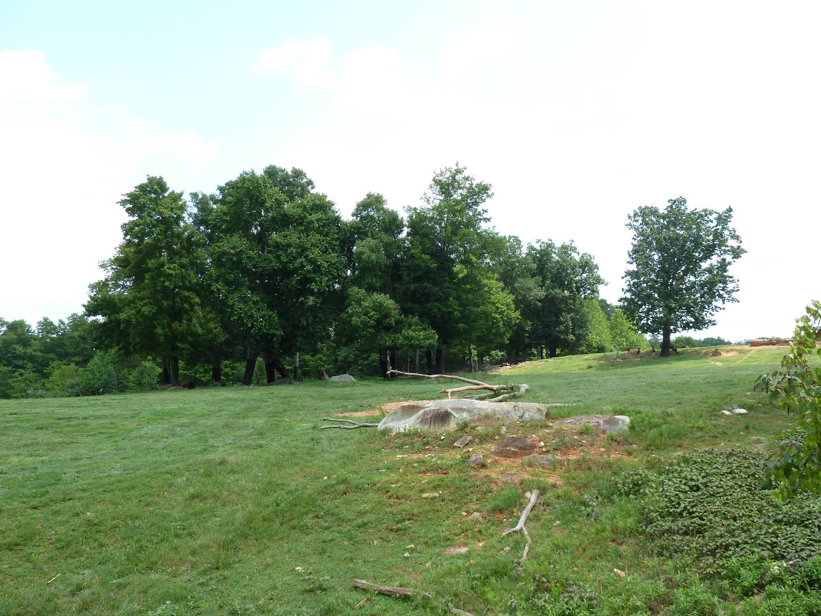 11-Acre Bison/Elk Exhibit