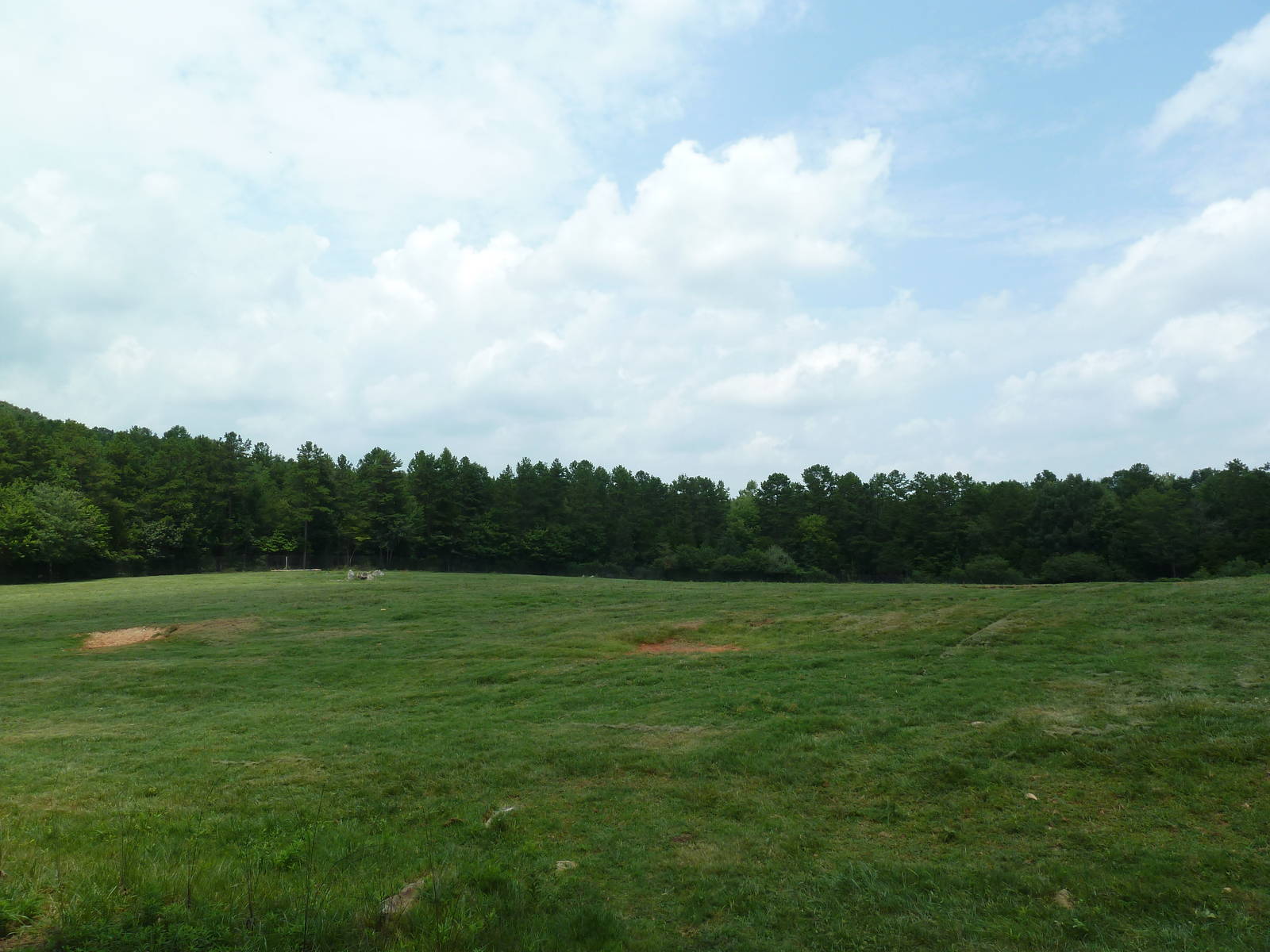 11-Acre Bison/Elk Exhibit