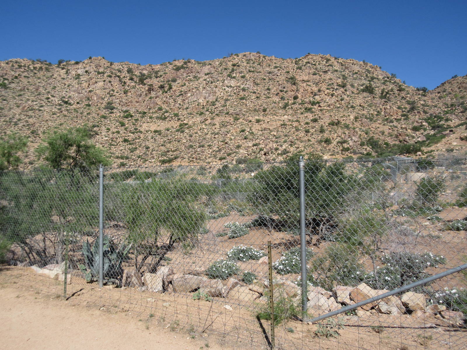 11-Acre Mule Deer/Fallow Deer/Ostrich Exhibit