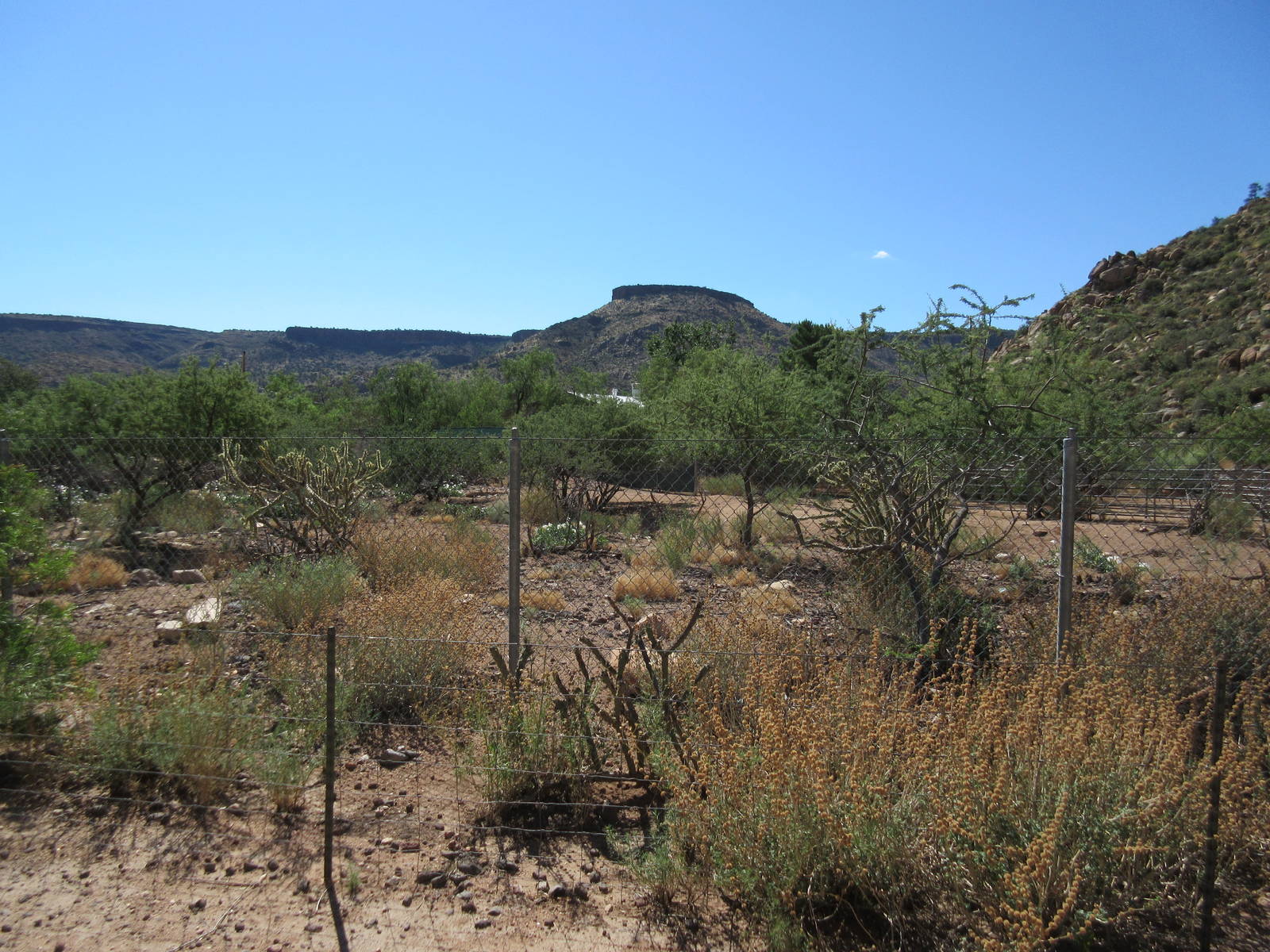 11-Acre Mule Deer/Fallow Deer/Ostrich Exhibit