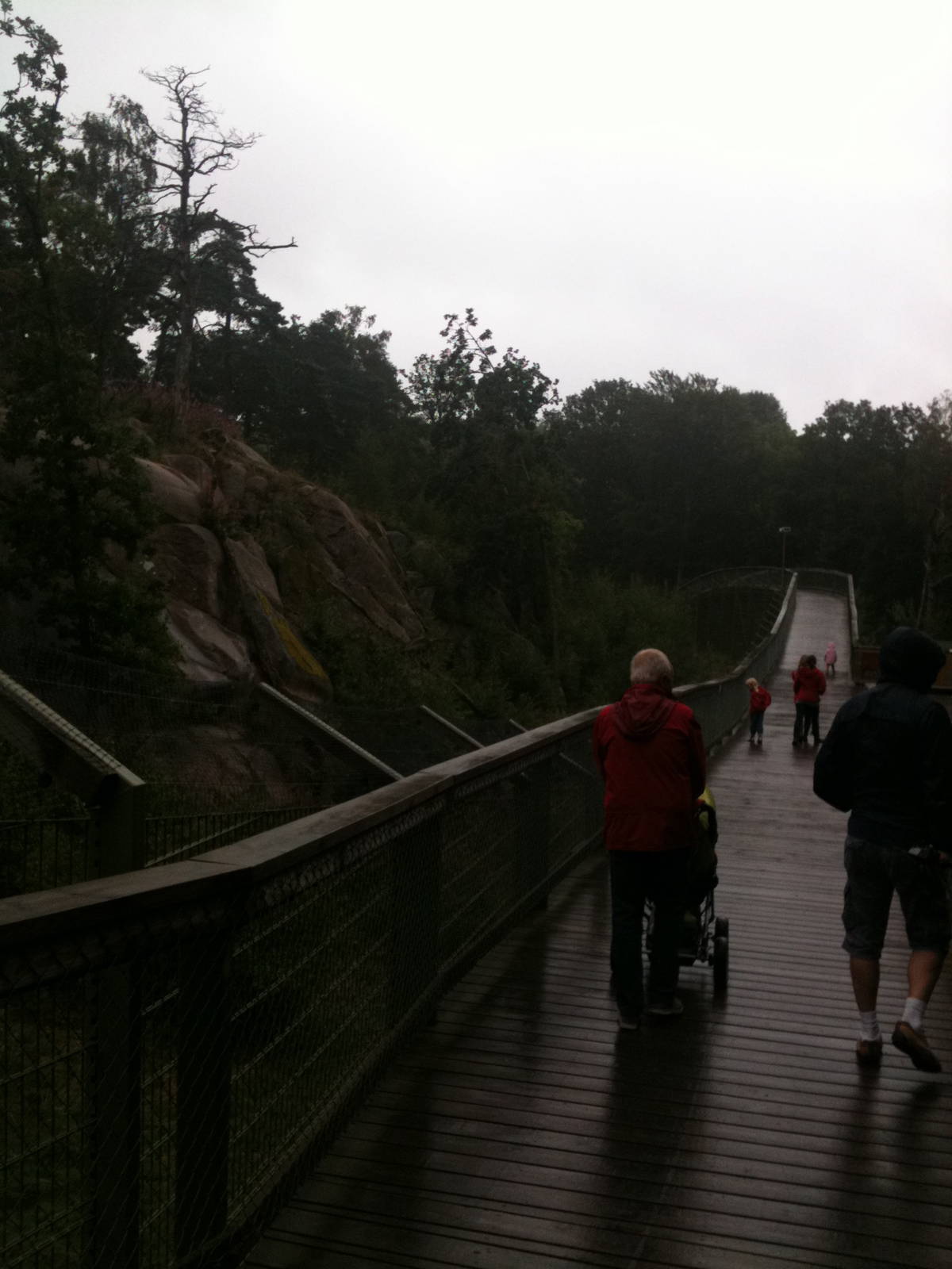 110725 Amur Tiger enclosure