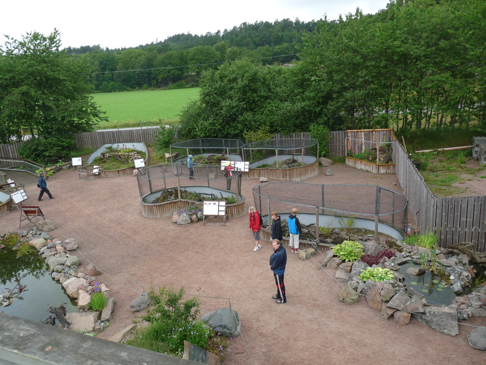 110725 View over the amphibian section