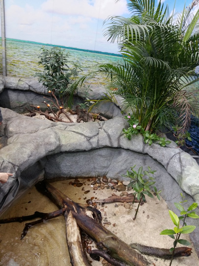 11th Feb 2017 - Fish and Crustacean enclosures