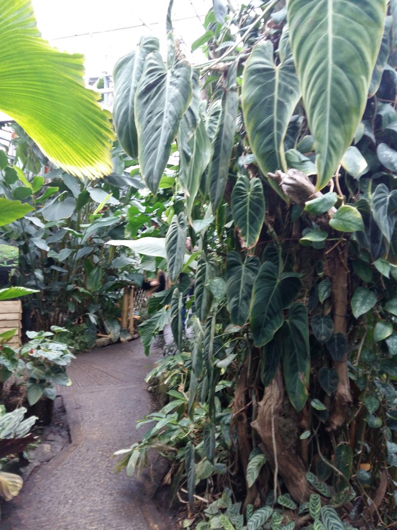 11th Feb 2017 - General view