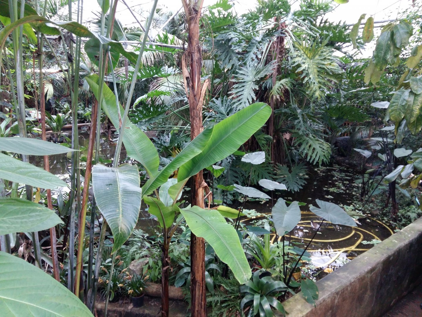 11th Feb 2017 - General view