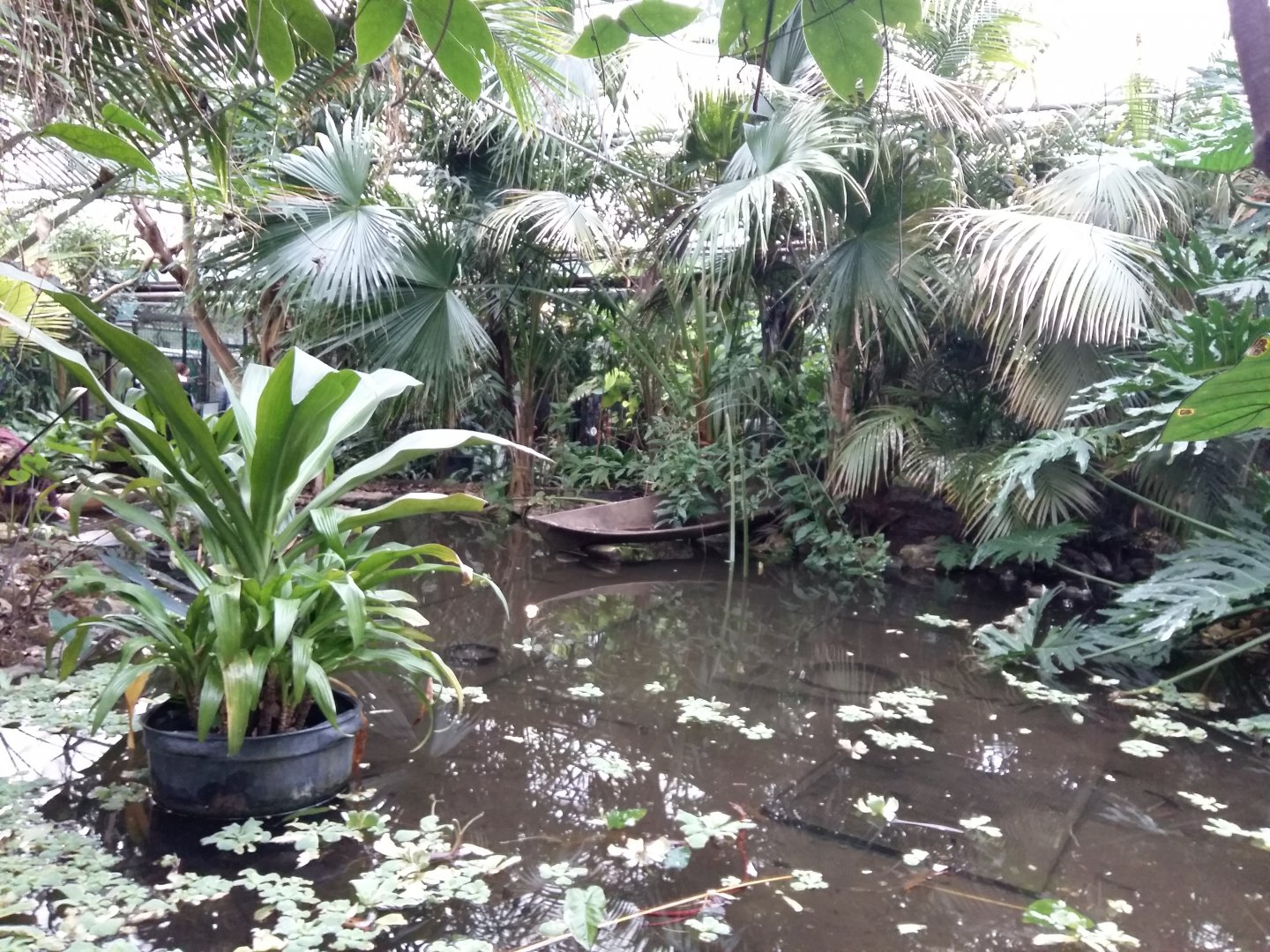 11th Feb 2017 - General view