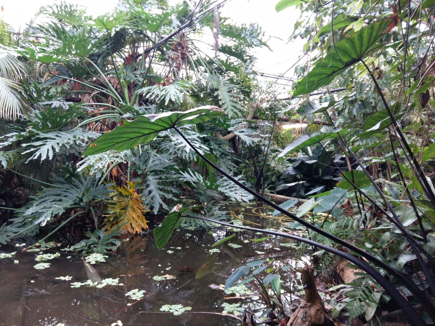 11th Feb 2017 - General view