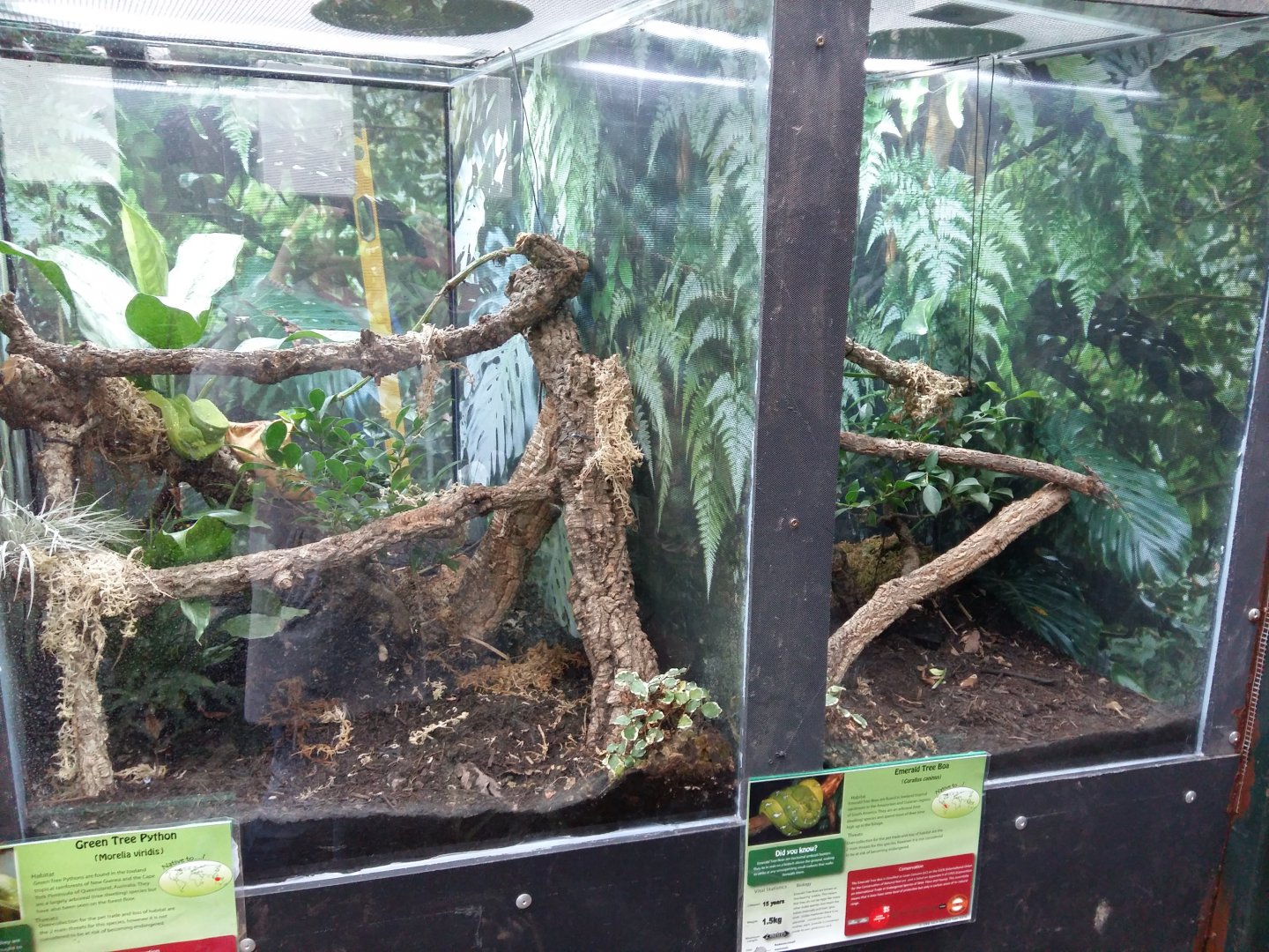 11th Feb 2017 - Snake enclosures